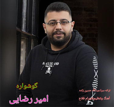 امیر رضایی گوشواره